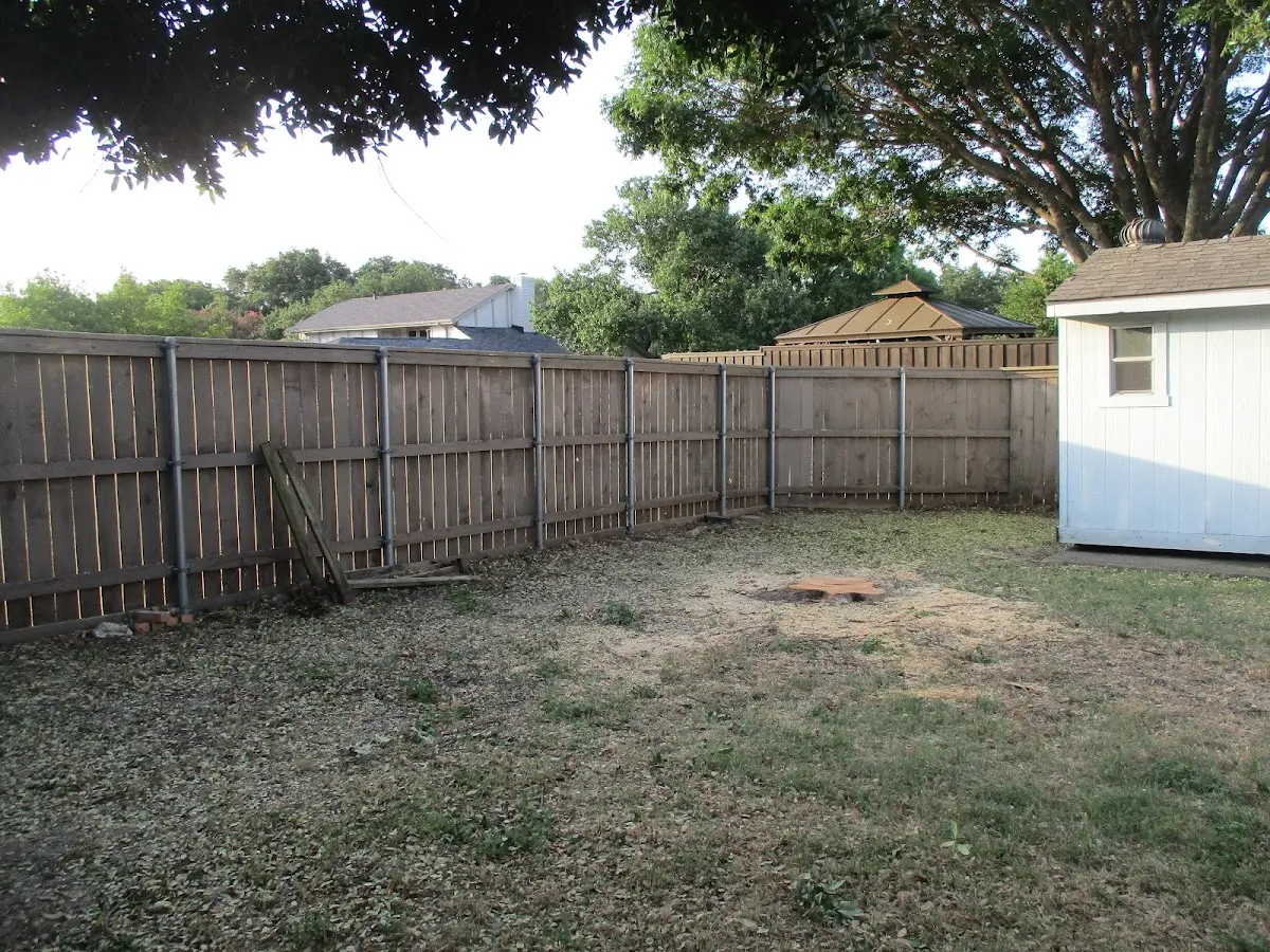 Cleared yard after professional tree removal in Big Sandy