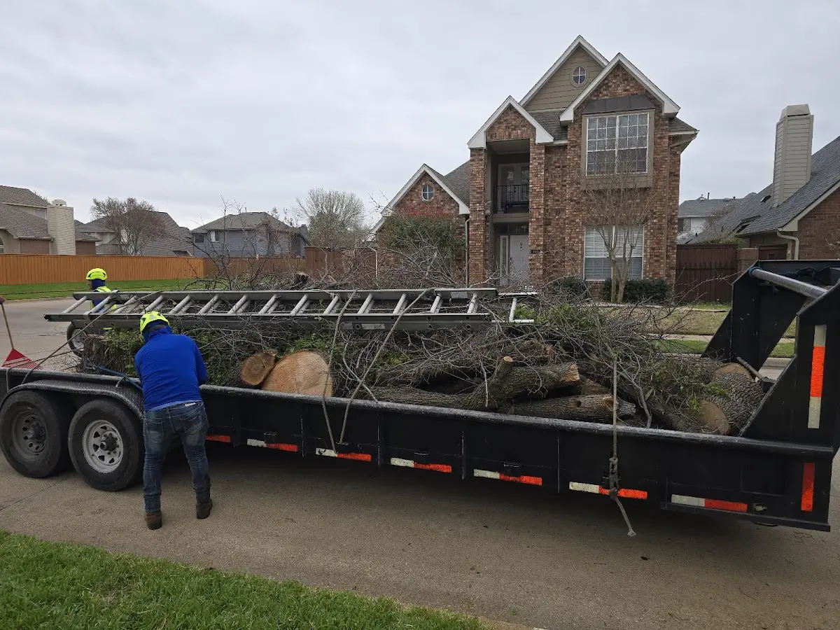 Expert Tree Fertilization with proper safety equipment in Big Sandy